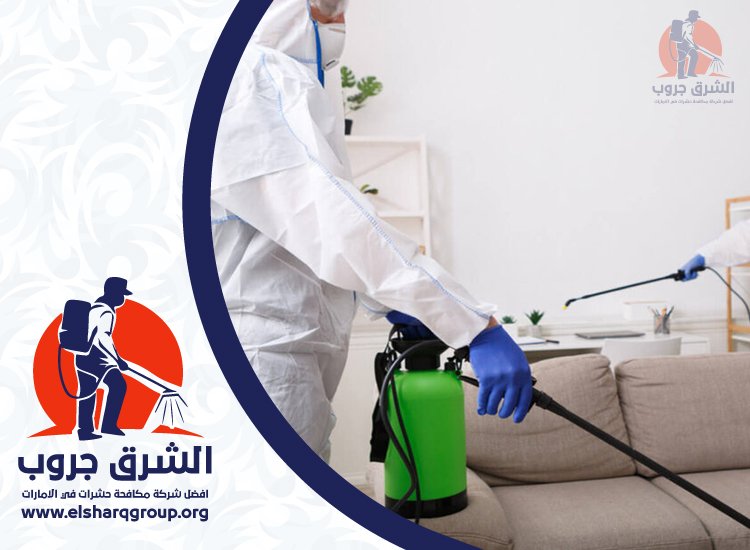 شركة مكافحة حشرات