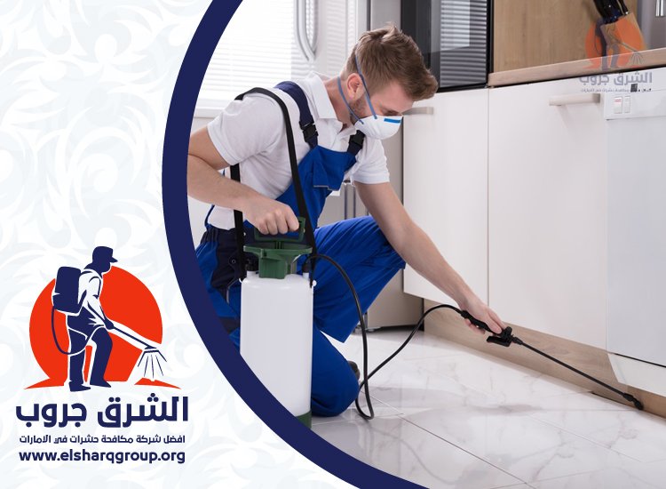 شركة مكافحة حشرات