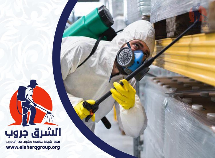 شركة مكافحة حشرات في زعبيل