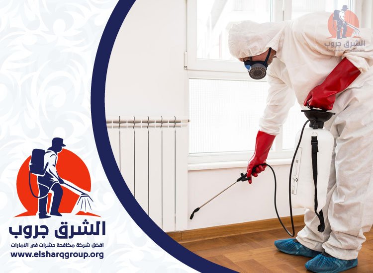 شركة مكافحة حشرات في ند الشبا