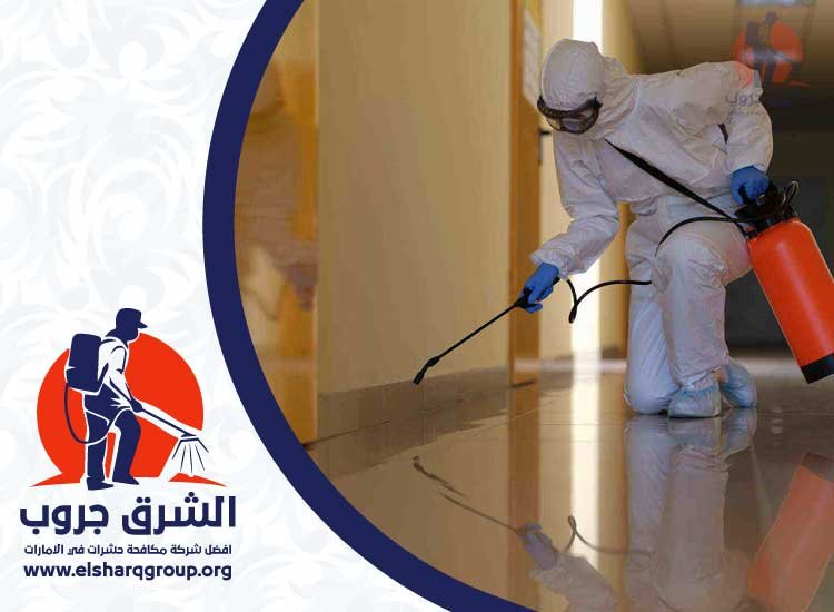 شركة مكافحة حشرات
