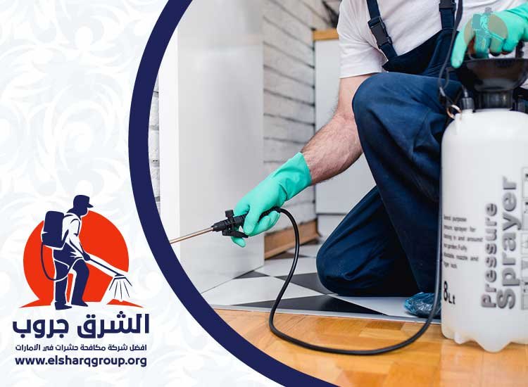 شركة مكافحة الفئران في ابوظبي