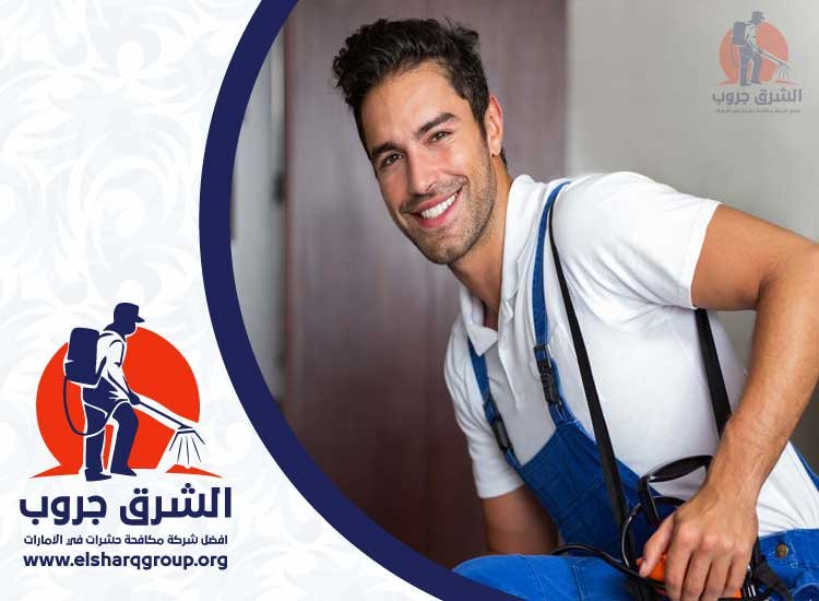 شركة مكافحة الفئران في عجمان
