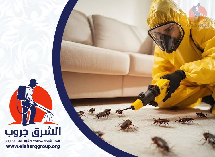 شركة مكافحة الصراصير في المنخول 4 شركة مكافحة الصراصير في المنخول
