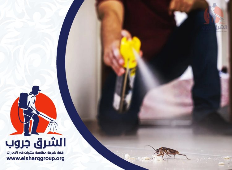 شركة مكافحة الصراصير في أم سقيم 5  شركة مكافحة الصراصير في أم سقيم
