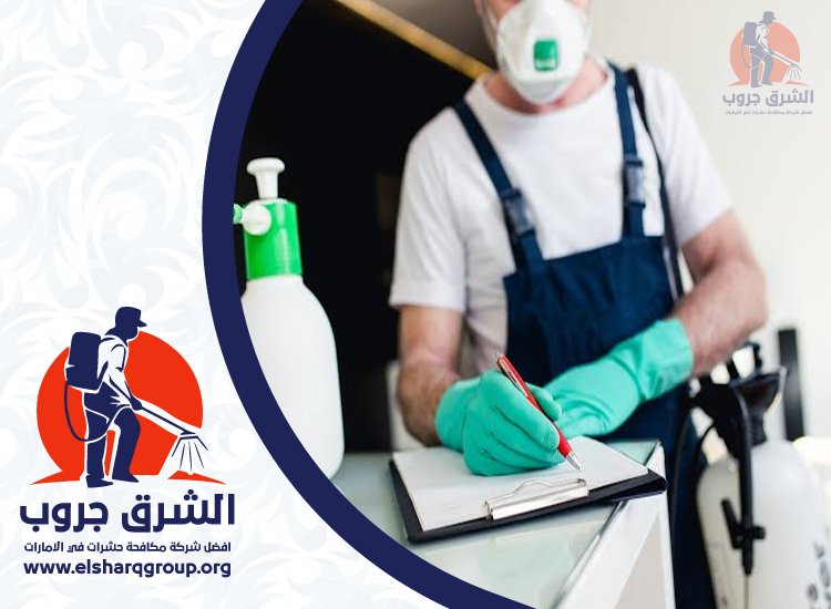 شركة مكافحة الصراصير في العين