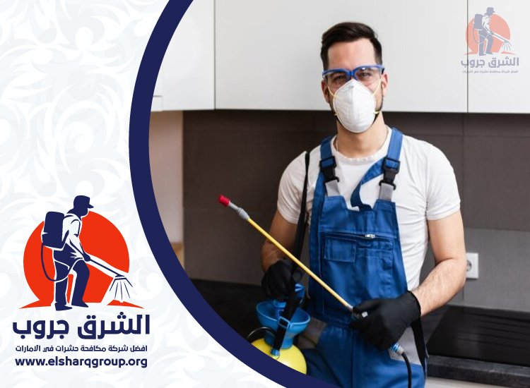شركة مكافحة الصراصير في ابوظبي 2 شركة مكافحة الصراصير في ابوظبي