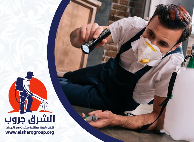 شركة مكافحة الصراصير في الزيد