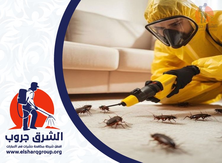 شركة مكافحة الصراصير في إعمار
