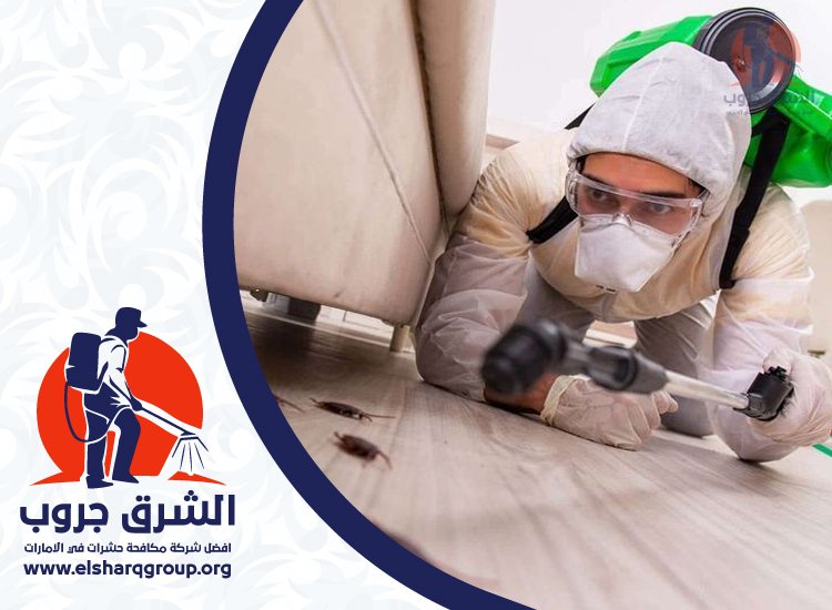 شركة مكافحة الصراصير في إعمار