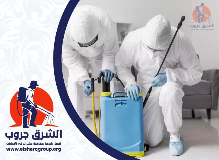 شركة مكافحة الصراصير في الطور