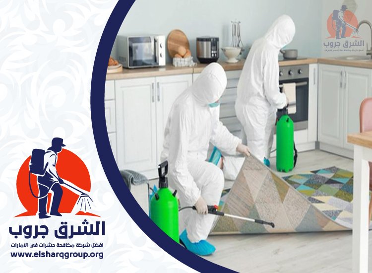 شركة مكافحة الصراصير في خورفكان