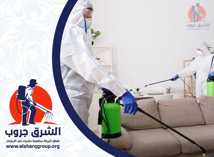 شركة مكافحة الصراصير في أم هرير