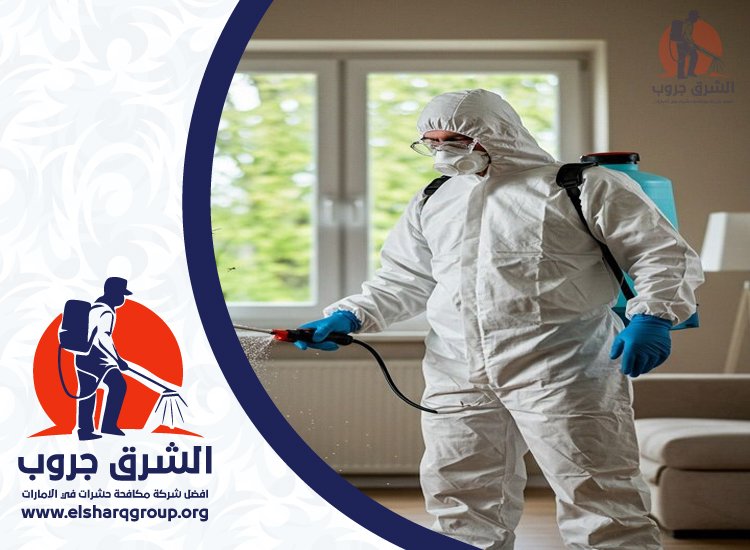 شركة مكافحة الصراصير في المدام