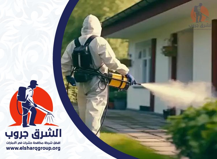شركة مكافحة الصراصير في البدع