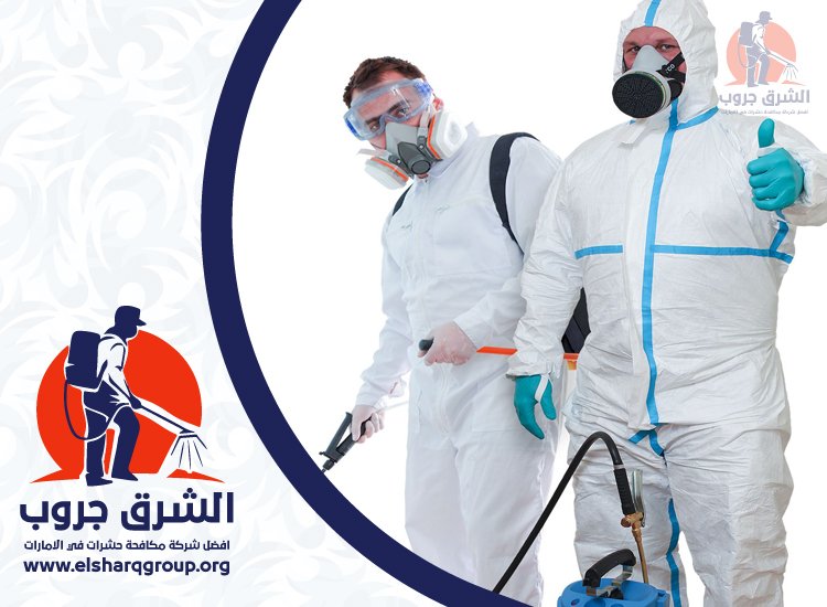 شركة مكافحة الصراصير في الجافلية