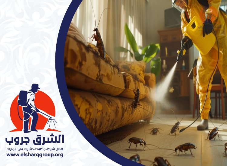 شركة مكافحة الصراصير في السيوح