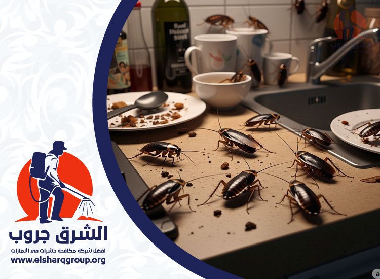 شركة مكافحة الصراصير في القرهود 3 شركة مكافحة الصراصير في القرهود