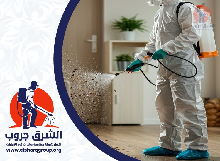شركة مكافحة الصراصير في الروضة 2 شركة مكافحة الصراصير في الروضة