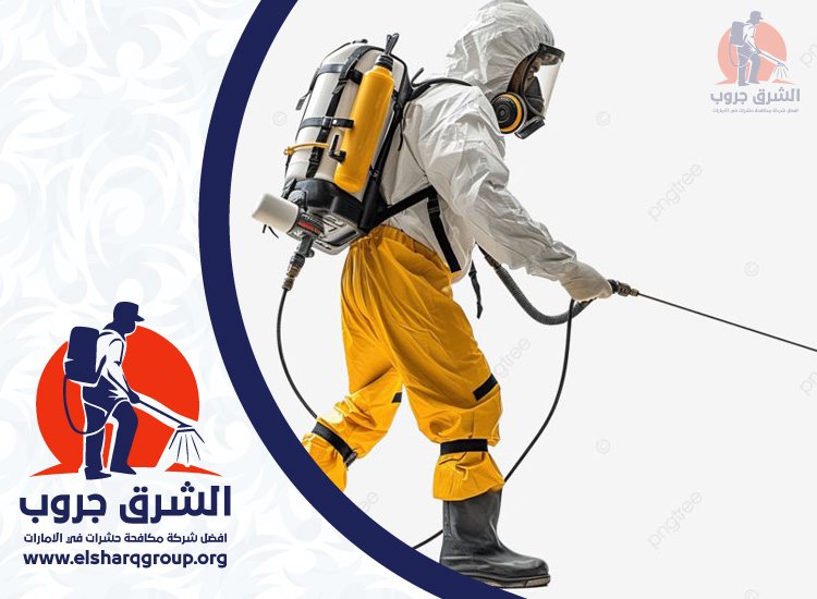 شركة مكافحة الصراصير في السطوة 2 شركة مكافحة الصراصير في السطوة
