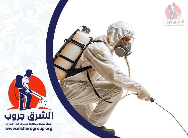 شركة مكافحة الصراصير في السهول 2 شركة مكافحة الصراصير في السهول