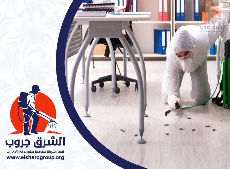 شركة مكافحة الصراصير في الضاحية 2 شركة مكافحة الصراصير في الضاحية