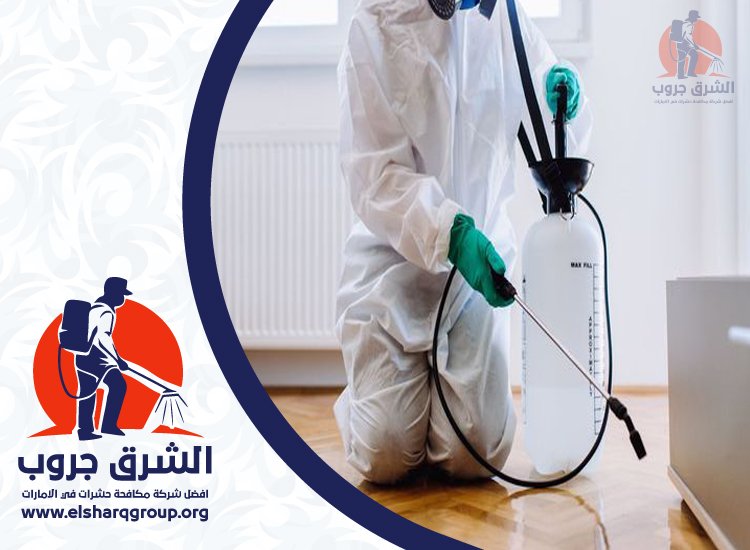 شركة مكافحة الصراصير في الحمرية 2 شركة مكافحة الصراصير في الحمرية