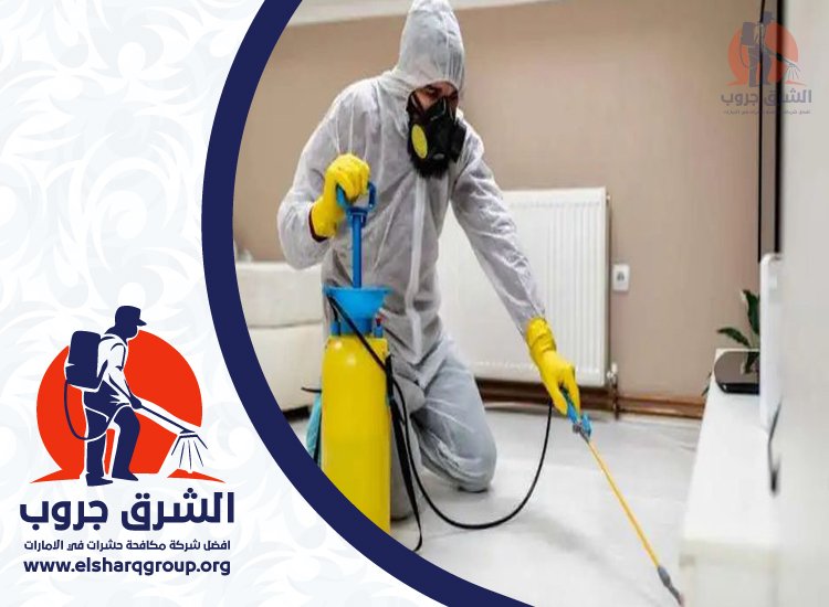 شركة مكافحة الصراصير في السهول 3 شركة مكافحة الصراصير في السهول