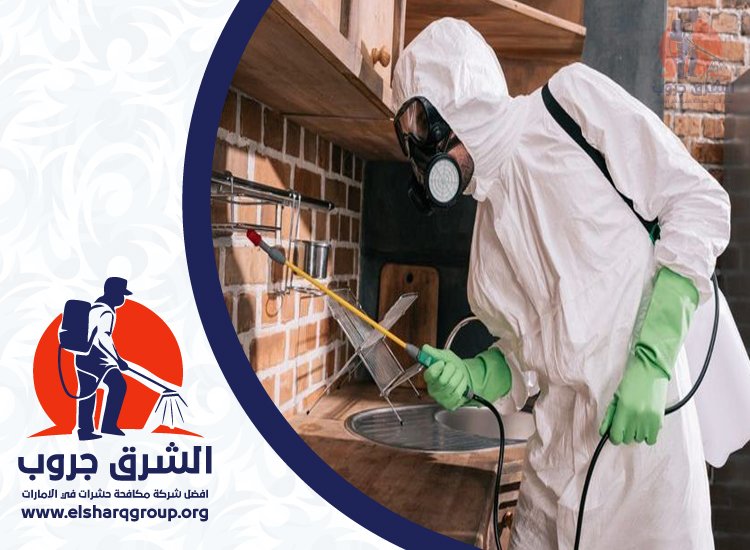 شركة مكافحة الصراصير في الفرجان 2 شركة مكافحة الصراصير في الفرجان