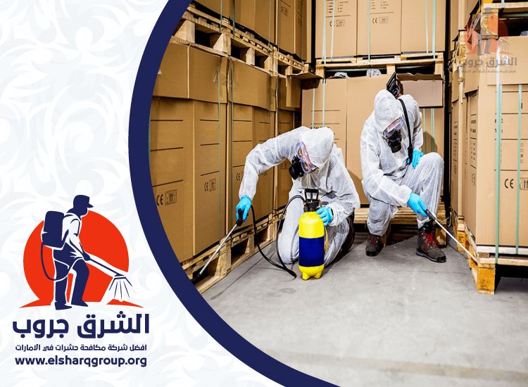  شركة مكافحة الصراصير في بالميرا