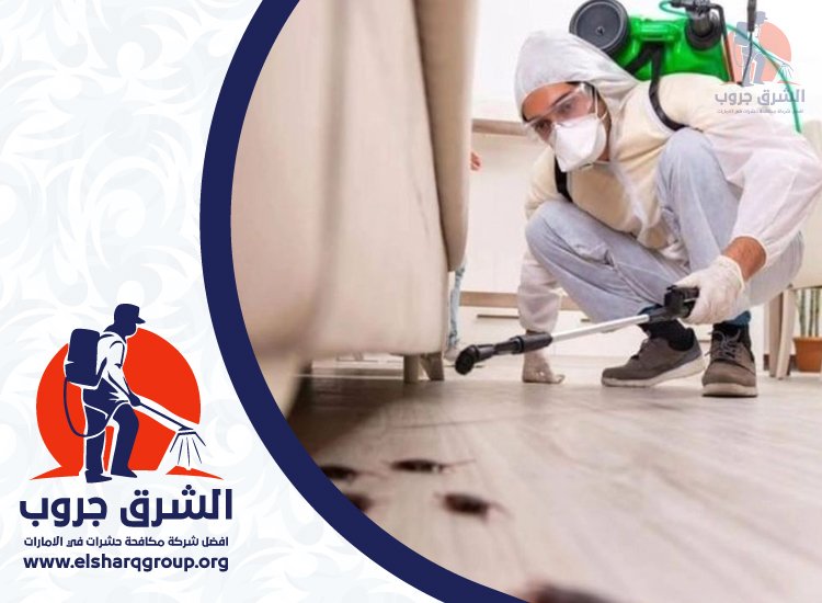 شركة مكافحة الصراصير في القصيص