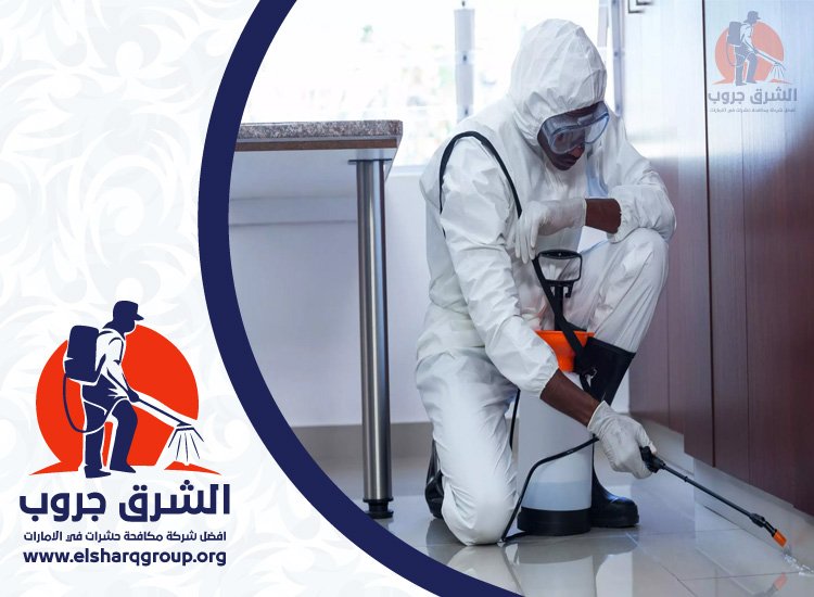 شركة مكافحة الصراصير في النهدة 