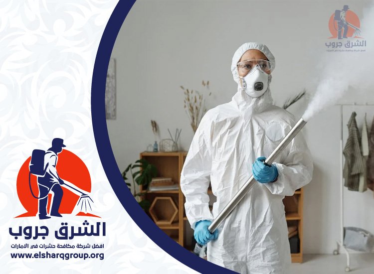 شركة مكافحة الصراصير في النهدة