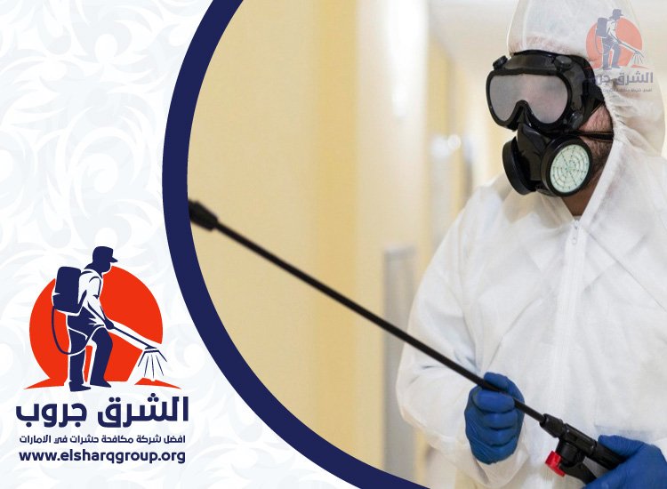 شركة مكافحة الصراصير في الورقاء