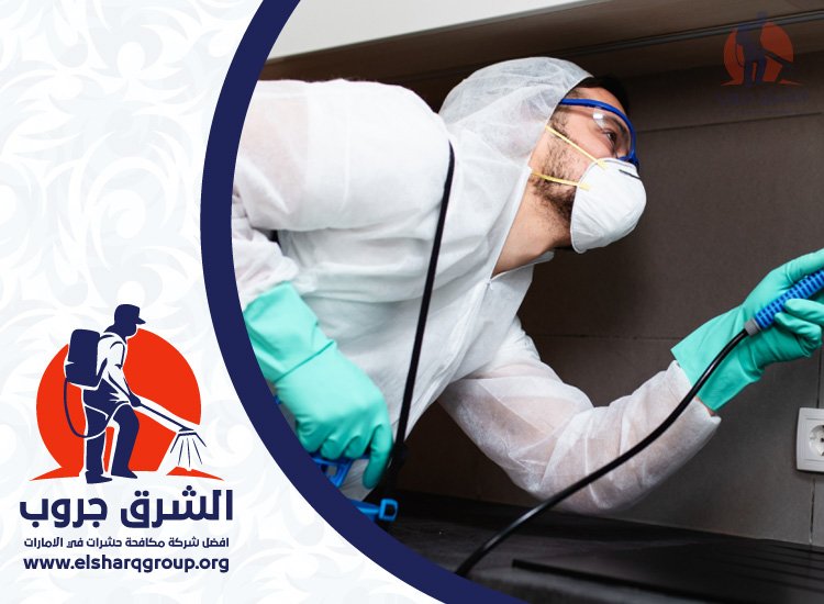 شركة مكافحة الصراصير في الوصل