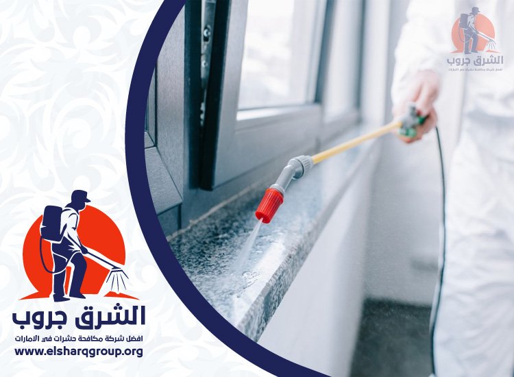 شركة مكافحة الصراصير في الكرامة 