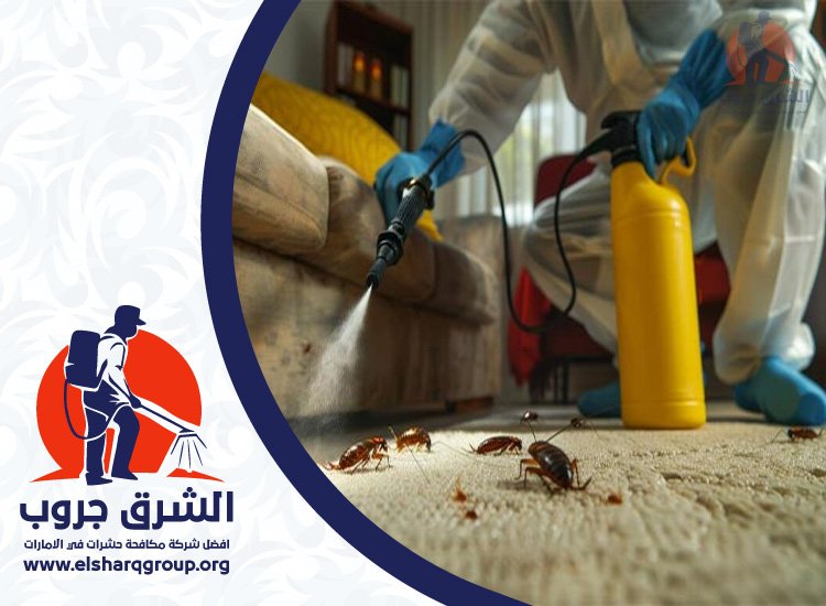 شركة مكافحة الصراصير في المرقبات