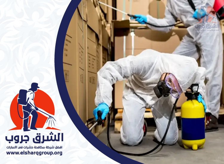 شركة مكافحة الصراصير في الورسان 