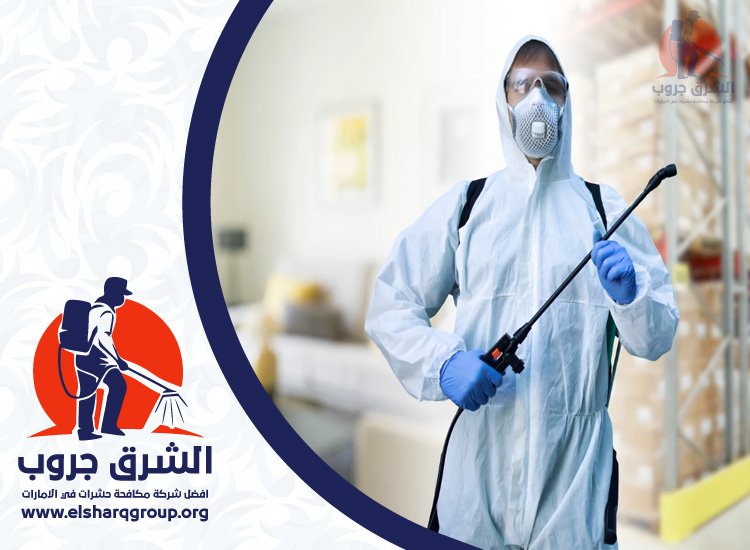 شركة مكافحة الصراصير في الورسان