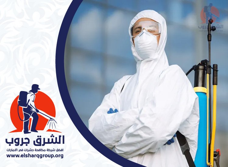 شركة مكافحة الصراصير في المنارة