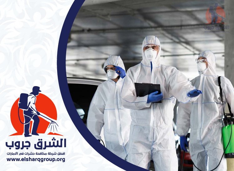 شركة مكافحة الصراصير في المزهر