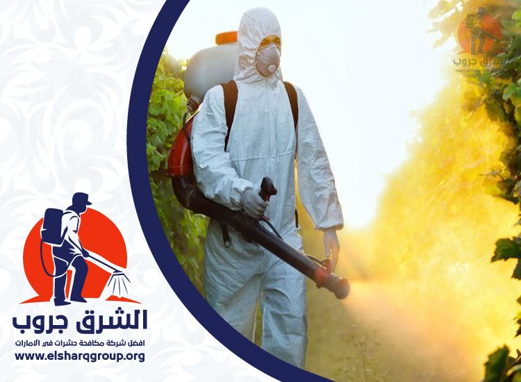 شركة مكافحة العقارب في راس الخيمة 5 شركة مكافحة العقارب في راس الخيمة