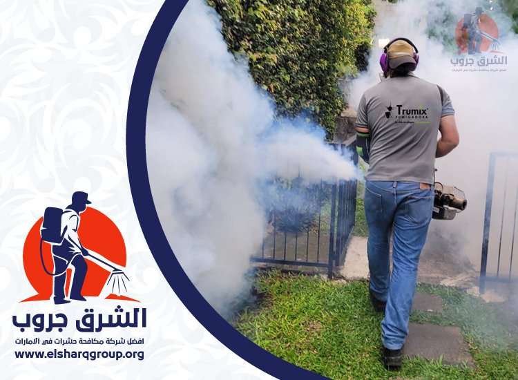 شركة مكافحة العقارب في العين