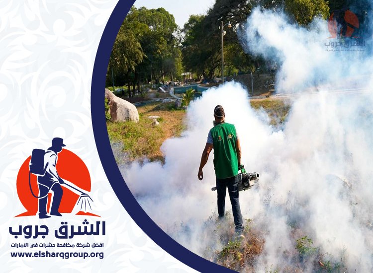 شركة مكافحة العقارب في عجمان 4 شركة مكافحة العقارب في عجمان