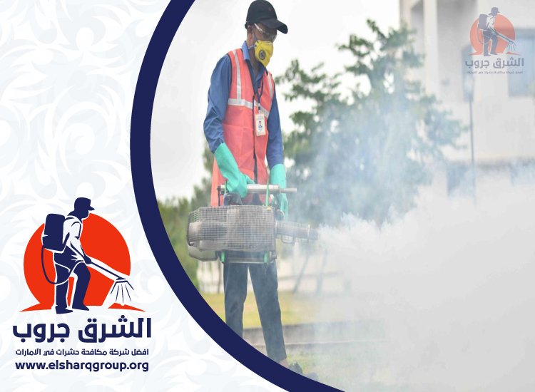 شركة مكافحة العقارب في عجمان