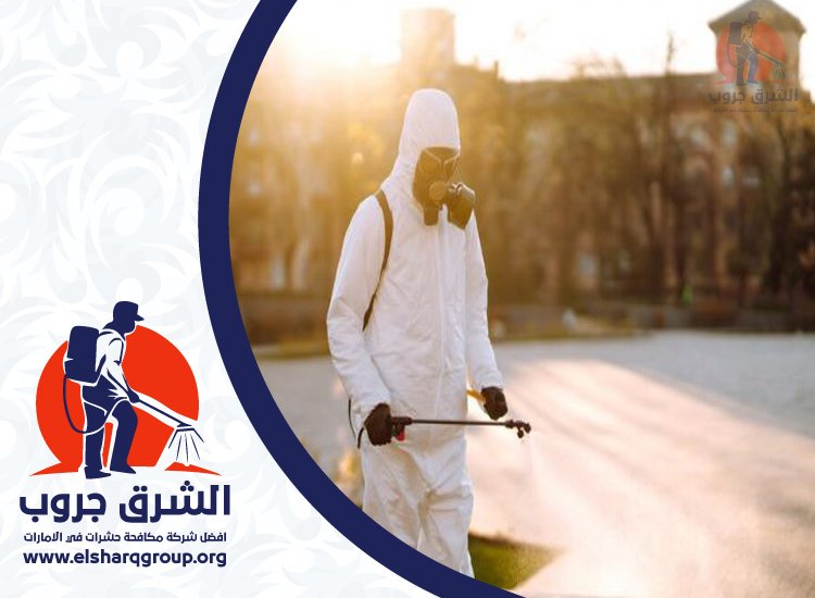 شركة مكافحة العقارب في الشارقة 3 شركة مكافحة العقارب في الشارقة
