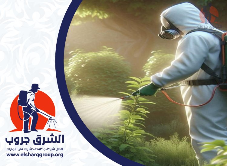 شركة مكافحة العقارب في دبي 5 شركة مكافحة العقارب في دبي