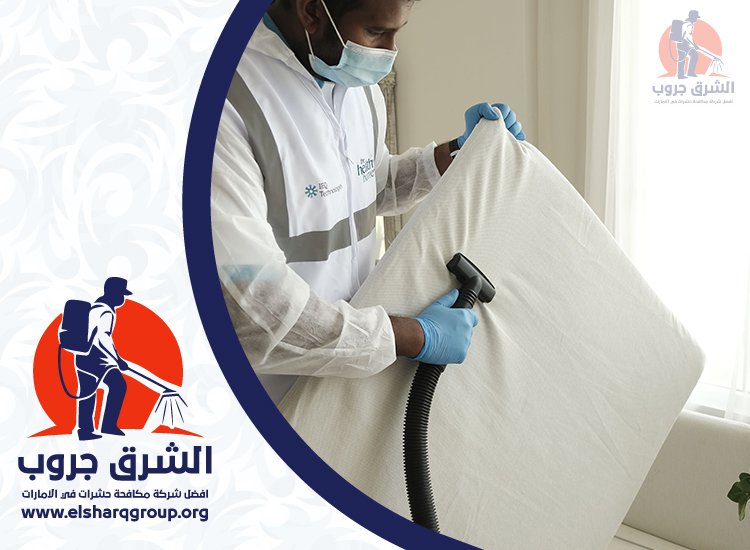 شركة مكافحة بق الفراش في الشارقة 4 مكافحة بق الفراش في المنازل والشقق