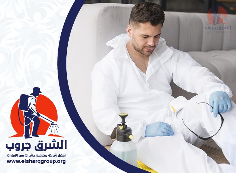 شركة مكافحة بق الفراش في دبي 6 أسباب ظهور بق الفراش في منازل دبي