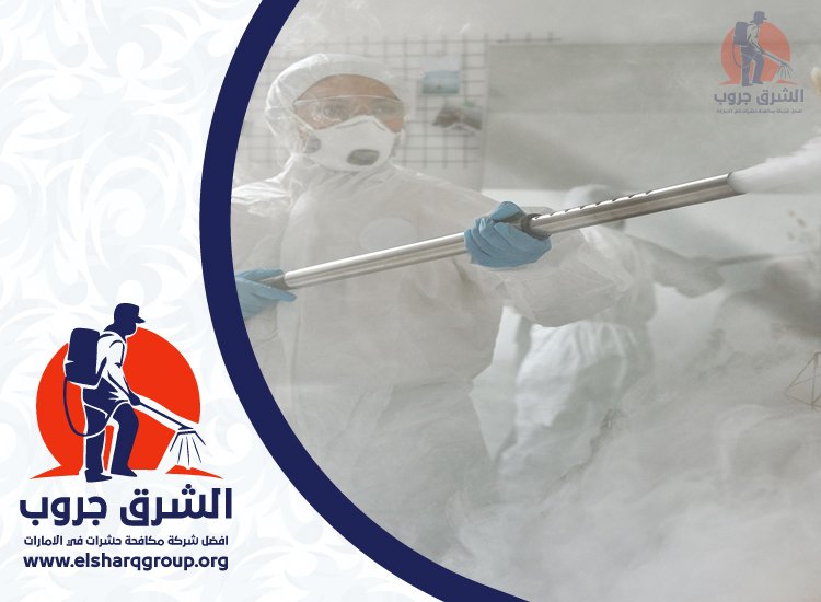 شركة مكافحة حشرات في دبي 5 طرق رش ومكافحة الحشرات في المنازل